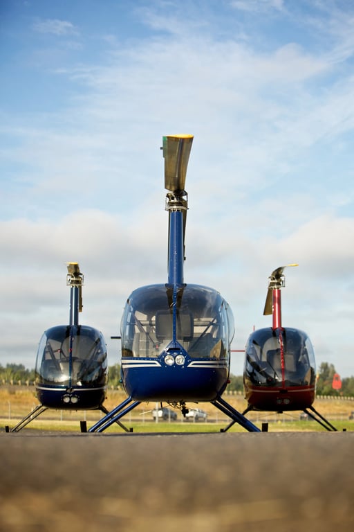 Helicopter pilot training